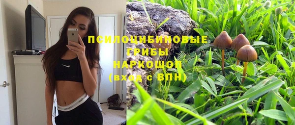 а пвп мука Касимов