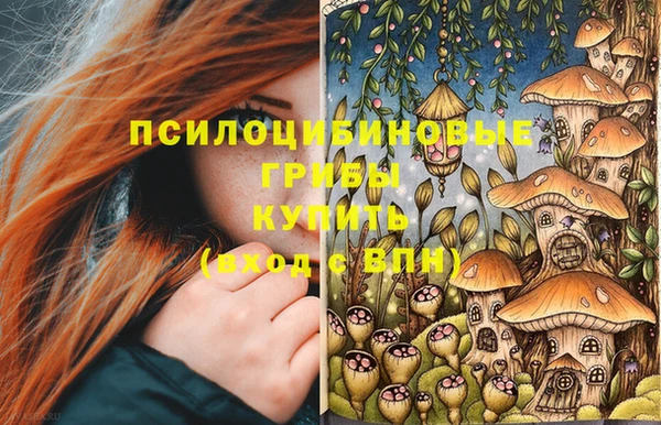 а пвп мука Касимов