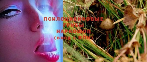а пвп мука Касимов