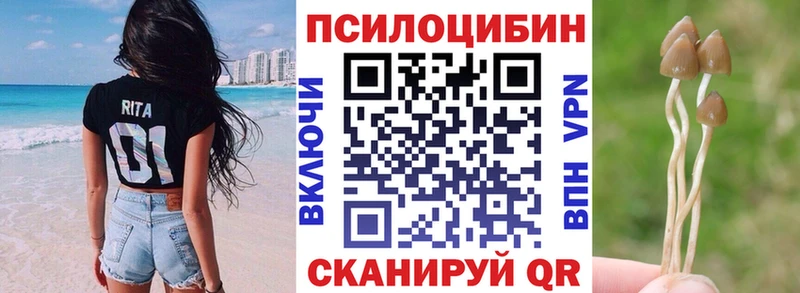 Купить  Волчанск  Псилоцибиновые грибы Cubensis 